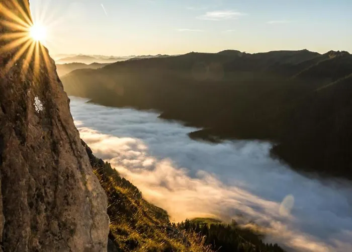 In Near Slopes * 레오강