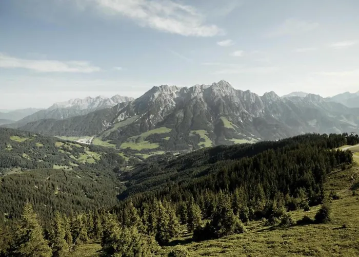 In Near Slopes 레오강