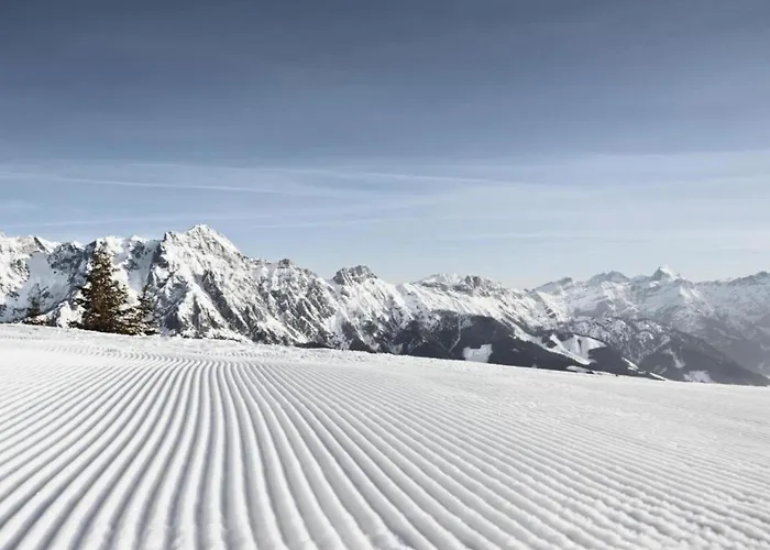 아파트 In Near Slopes *